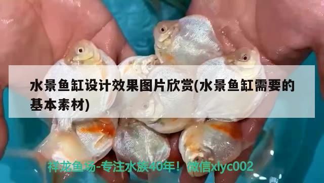 水景魚缸設(shè)計(jì)效果圖片欣賞(水景魚缸需要的基本素材)