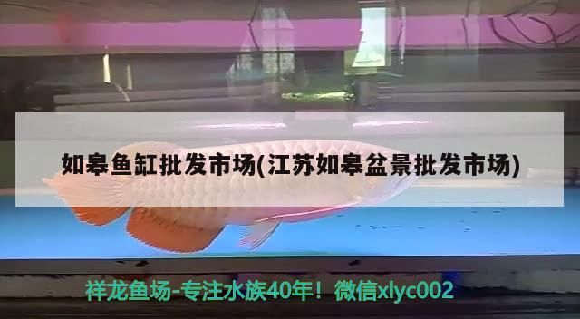 如皋魚缸批發(fā)市場(江蘇如皋盆景批發(fā)市場)