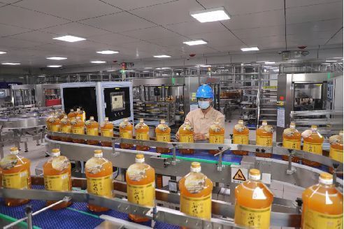金龍魚技術創新最新成果：金龍魚技術創新的最新成果包括了在食品加工領域的突破