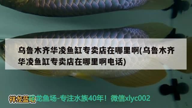 烏魯木齊華凌魚缸專賣店在哪里啊(烏魯木齊華凌魚缸專賣店在哪里啊電話)