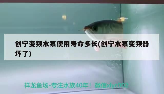 創寧變頻水泵使用壽命多長(創寧水泵變頻器壞了)