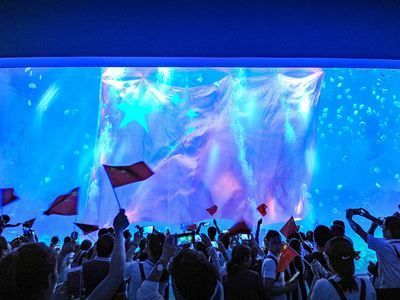水族館觸摸池互動效果評估：水族館觸摸池互動效果的評估