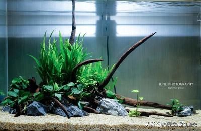 no1氧氣泵和老魚匠氧氣泵區(qū)別大嗎（no1氧氣泵和老魚匠氧氣泵區(qū)別大嗎）