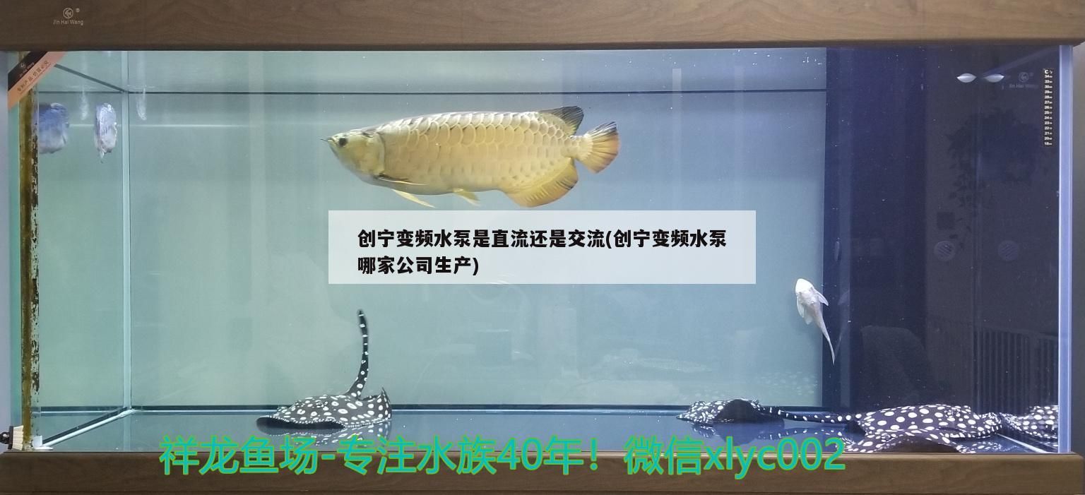 創寧變頻水泵是直流還是交流(創寧變頻水泵哪家公司生產)
