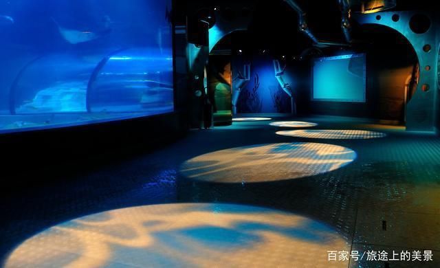 中國最大的水族館在哪里啊（中國最大的水族館——長隆海洋王國）