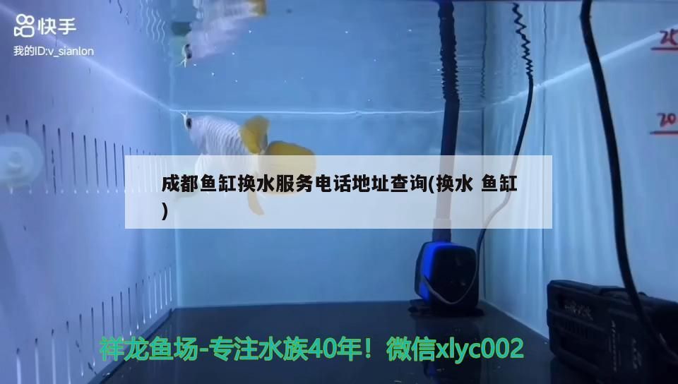 成都魚缸換水服務電話地址查詢(換水魚缸)