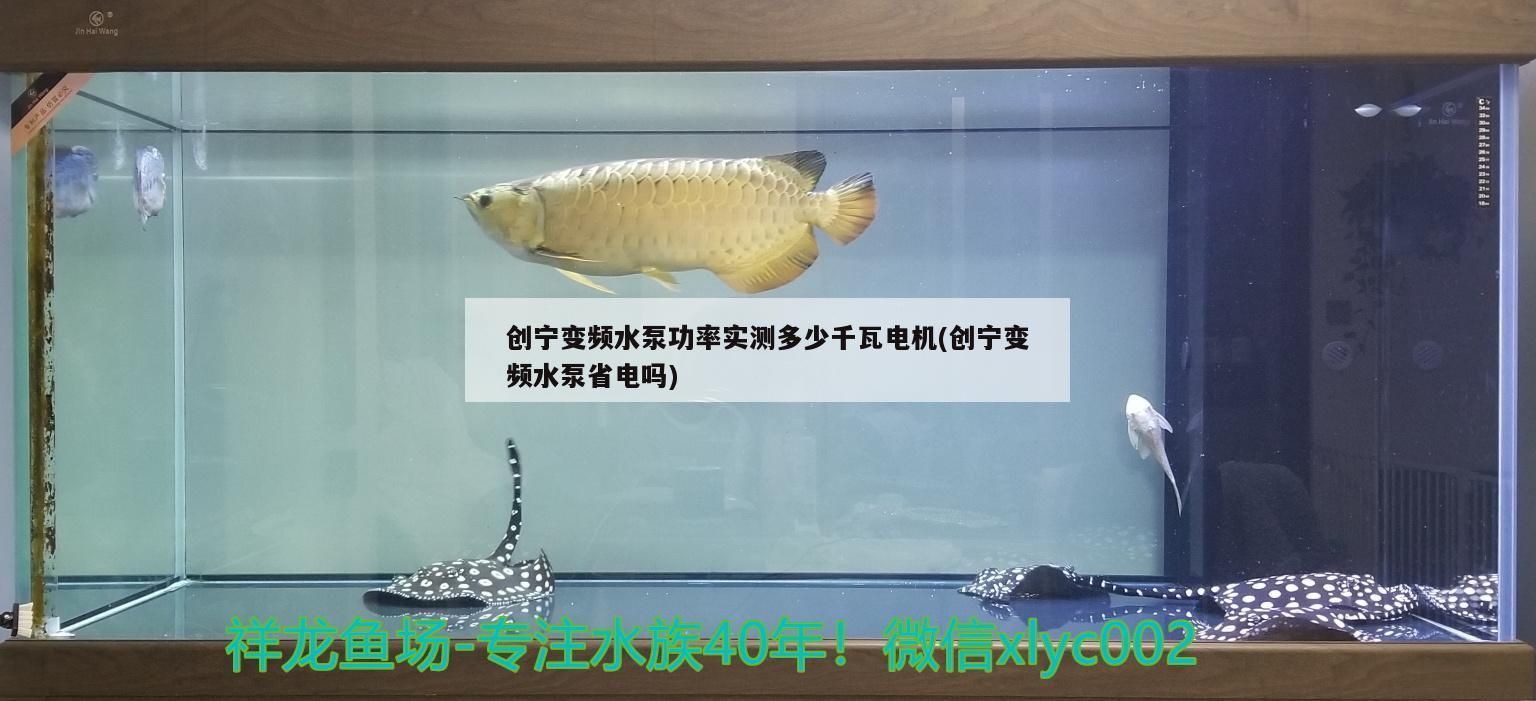 創寧變頻水泵功率實測多少千瓦電機(創寧變頻水泵省電嗎)