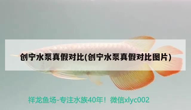 創(chuàng)寧水泵真假對比(創(chuàng)寧水泵真假對比圖片)