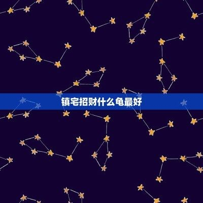 豬鼻龜招財辟邪嗎圖片高清：豬鼻龜為什么瀕危呢