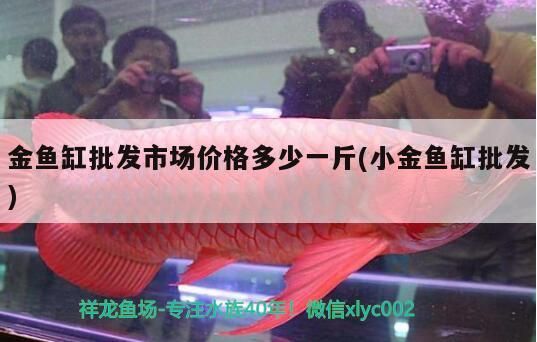 金魚缸批發(fā)市場價(jià)格多少一斤(小金魚缸批發(fā))