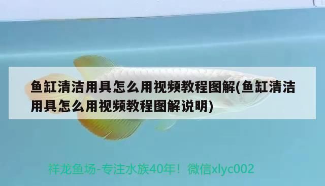 臺州市路橋區方源魚缸店 全國水族館企業名錄 第2張 臺州市路橋區方源魚缸店 臺州市路橋區方源魚缸店 全國水族館企業名錄 第2張