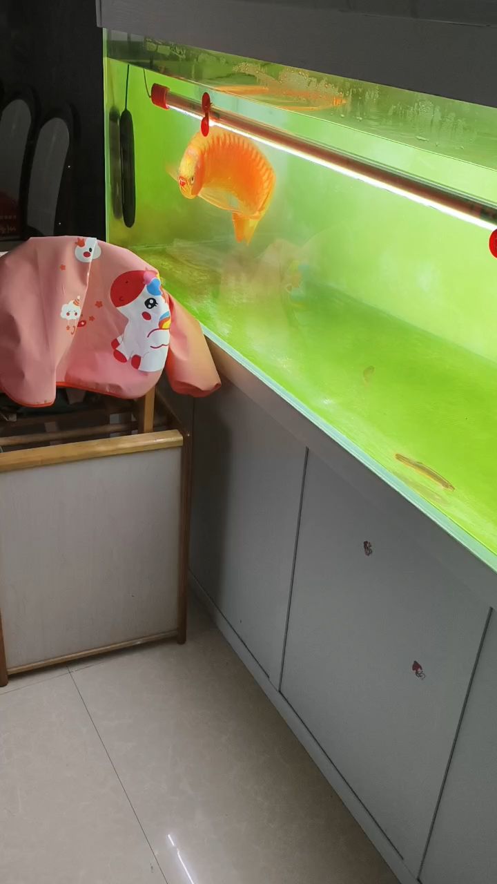 冬天到了