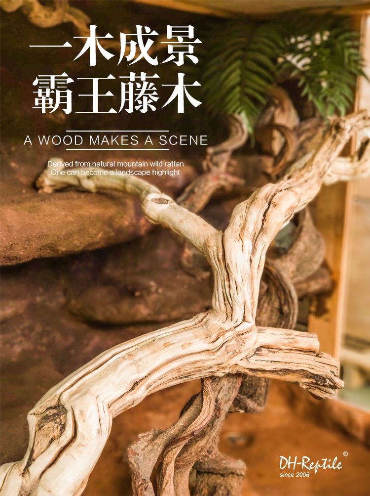 爬寵架