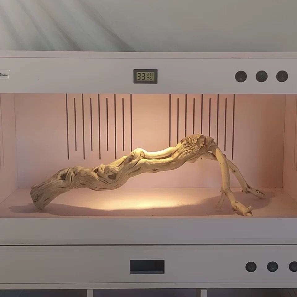 爬寵架