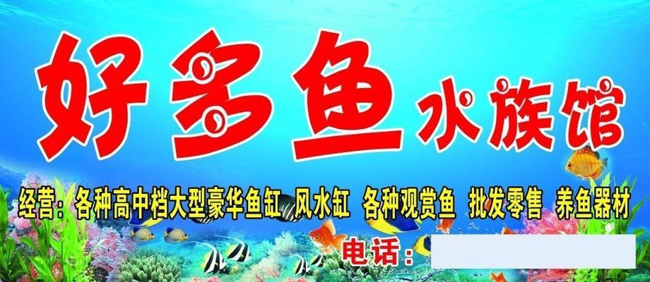 水族館大門圖片：水族館大門的設計特點及其在展覽中的應用效果 水族館大門圖片：水族館大門的設計特點及其在展覽中的應用效果 水族館百科（水族館加盟） 第3張