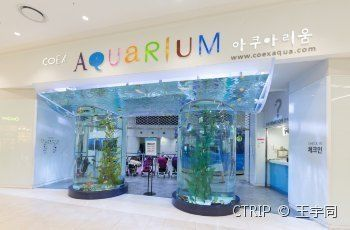 水族館大門圖片：水族館大門的設計特點及其在展覽中的應用效果 水族館大門圖片：水族館大門的設計特點及其在展覽中的應用效果 水族館百科（水族館加盟） 第5張
