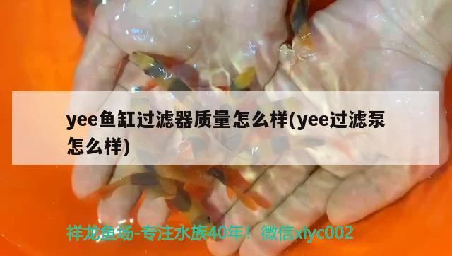 yee魚(yú)缸過(guò)濾器質(zhì)量怎么樣(yee過(guò)濾泵怎么樣)