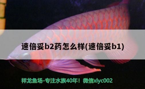 速倍妥b2藥怎么樣(速倍妥b1) 速倍妥b2藥怎么樣(速倍妥b1) 速倍妥