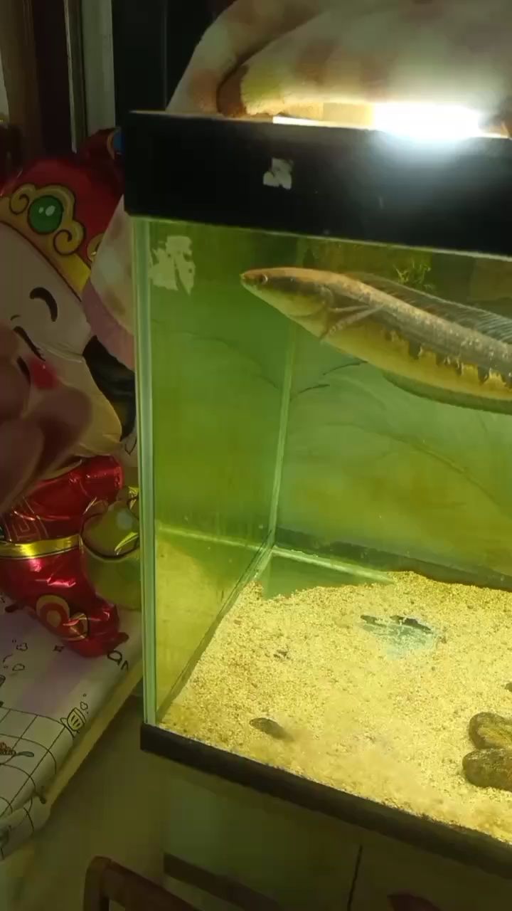 搞什么都要過來看看