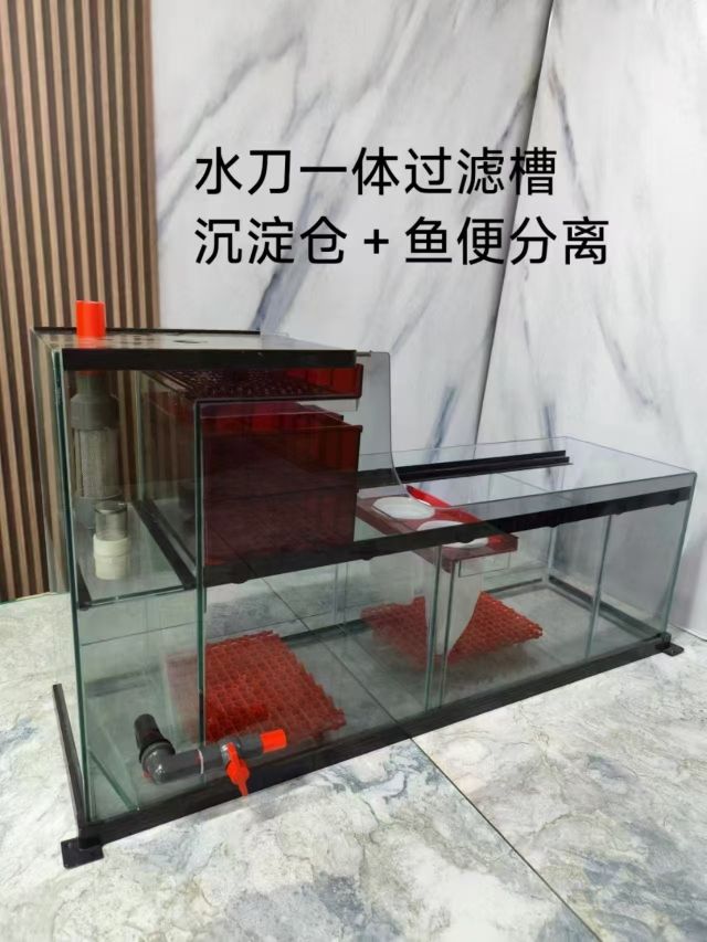 這過(guò)濾槽厲害 這過(guò)濾槽厲害 龍魚(yú)論壇