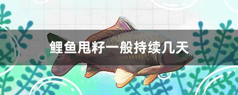 鯉魚甩籽一般持續(xù)幾天