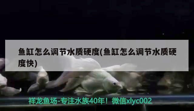 昆明花鳥市場魚缸出售電話號碼（室內玄關柜多少錢一個）