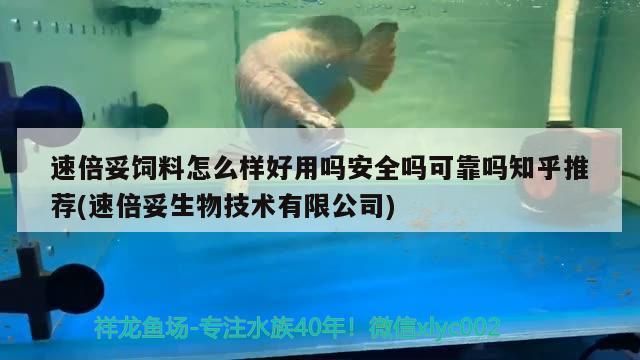 我的虎魚真菌感染了要怎么處理 速倍妥飼料怎么樣好用嗎安全嗎可靠嗎知乎推薦(速倍妥生物技術有限公司) 速倍妥 速倍妥飼料怎么樣好用嗎安全嗎可靠嗎知乎推薦(速倍妥生物技術有限公司) 速倍妥飼料怎么樣好用嗎安全嗎可靠嗎知乎推薦(速倍妥生物技術有限公司) 速倍妥