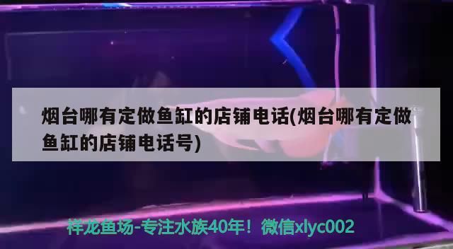 煙臺哪有定做魚缸的店鋪電話(煙臺哪有定做魚缸的店鋪電話號) 煙臺哪有定做魚缸的店鋪電話(煙臺哪有定做魚缸的店鋪電話號) 可麗愛魚缸