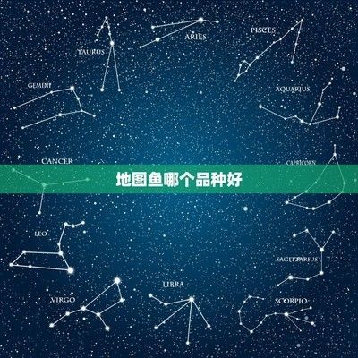 黑河可麗愛魚缸專賣店電話：黑河可麗愛魚缸專賣店，打造您的水族夢想家園