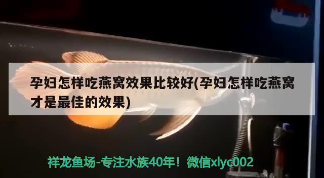 超市賣魚的魚缸設(shè)計(jì)圖(超市賣魚魚缸圖片) 超市賣魚的魚缸設(shè)計(jì)圖(超市賣魚魚缸圖片) 九鼎魚缸 第1張