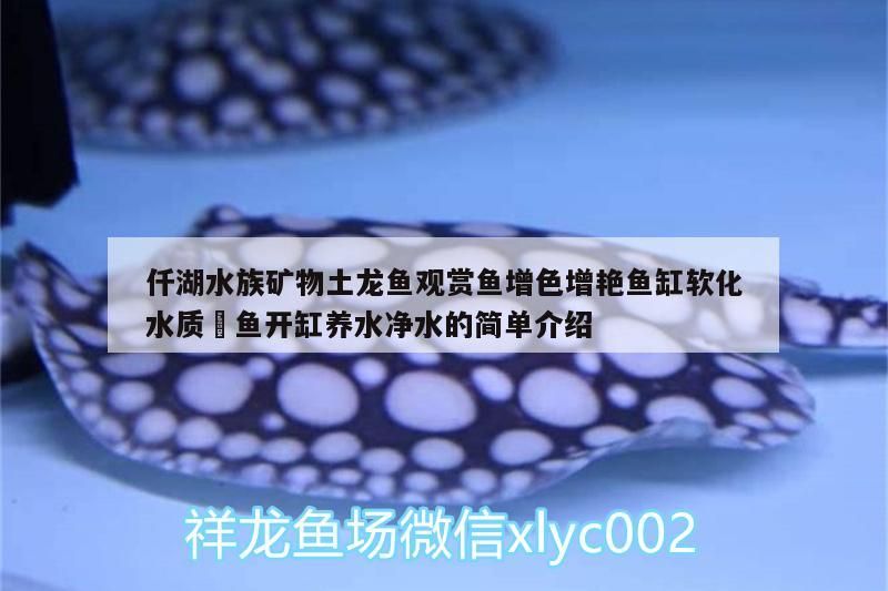 仟湖水族礦物土龍魚觀賞魚增色增艷魚缸軟化水質魟魚開缸養(yǎng)水凈水的簡單介紹