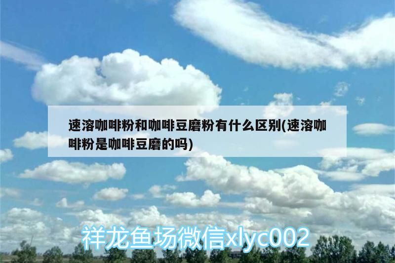 速溶咖啡粉和咖啡豆磨粉有什么區別(速溶咖啡粉是咖啡豆磨的嗎)