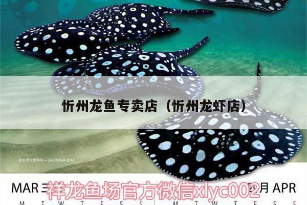 龍魚 百科vs祥龍魚場：祥龍魚場是一種熱帶淡水觀賞魚養(yǎng)殖技術(shù)要點