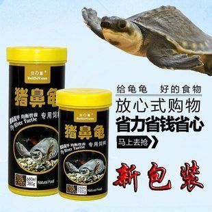 豬鼻龜擺件圖片：豬鼻龜擺件的圖片和細(xì)節(jié)設(shè)計吸引了眾多收藏者的目光