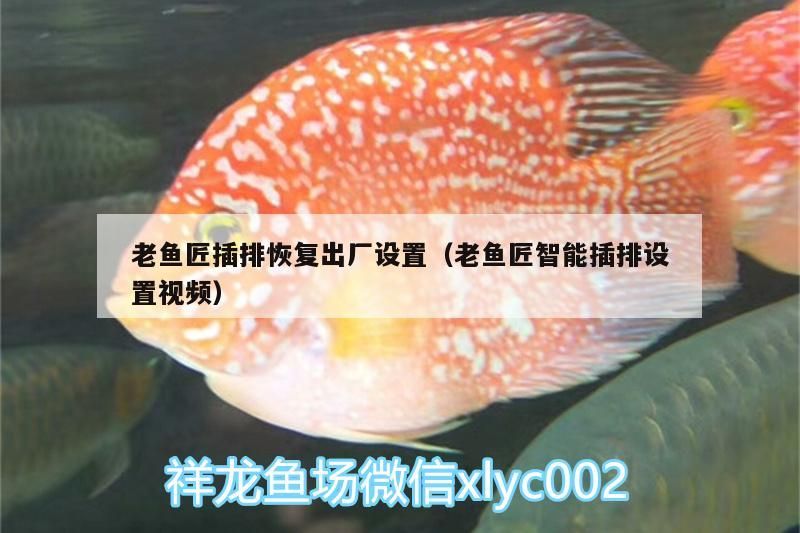 老魚匠插排恢復出廠設置（老魚匠智能插排設置視頻）