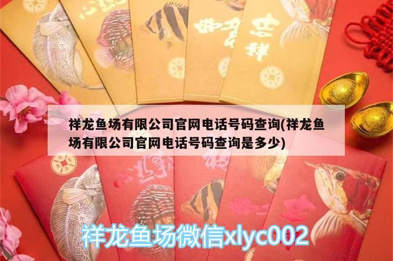 祥龍魚場有限公司官網電話號碼查詢(祥龍魚場有限公司官網電話號碼查詢是多少)