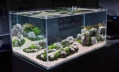 80x40x50的魚缸水體多大：80x40x50的魚缸水體容積計算方法