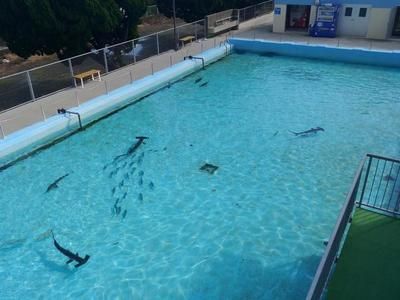 開一家水族館賺錢嗎現(xiàn)在：開一個(gè)水族館需要多少費(fèi)用
