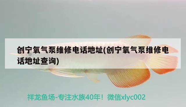 創寧氧氣泵維修電話地址(創寧氧氣泵維修電話地址查詢)