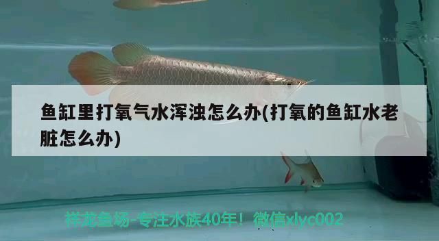 撫順二手魚缸出售信息網(wǎng)站電話（大連莊河搬家公司哪家收費(fèi)低）