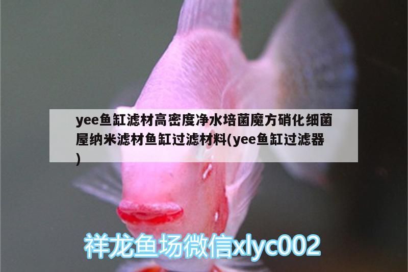 yee魚缸濾材高密度凈水培菌魔方硝化細菌屋納米濾材魚缸過濾材料(yee魚缸過濾器)