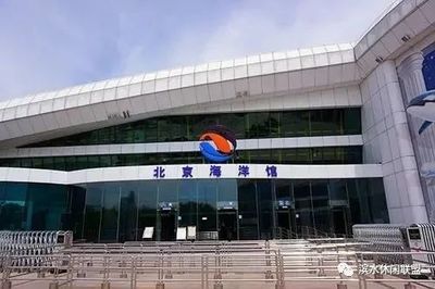 水族館發(fā)展現(xiàn)狀怎么寫（關(guān)于水族館發(fā)展現(xiàn)狀的建議） 水族館發(fā)展現(xiàn)狀怎么寫（關(guān)于水族館發(fā)展現(xiàn)狀的建議） 水族館百科（水族館加盟） 第5張