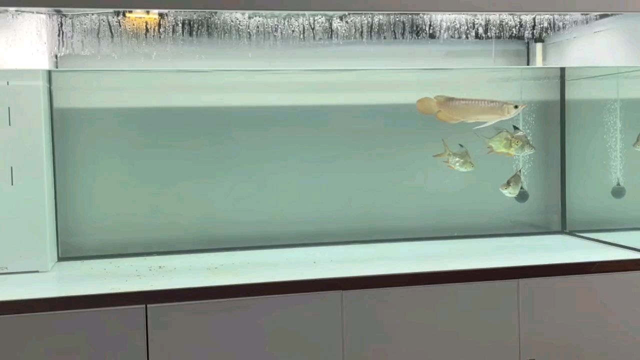 狀態穩定