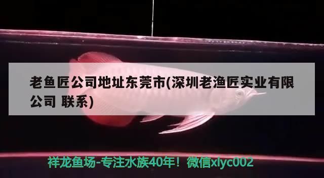 老魚匠公司地址東莞市(深圳老漁匠實業有限公司聯系)