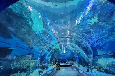 全國最好的水族館（全國最好的水族館——北京海洋館）