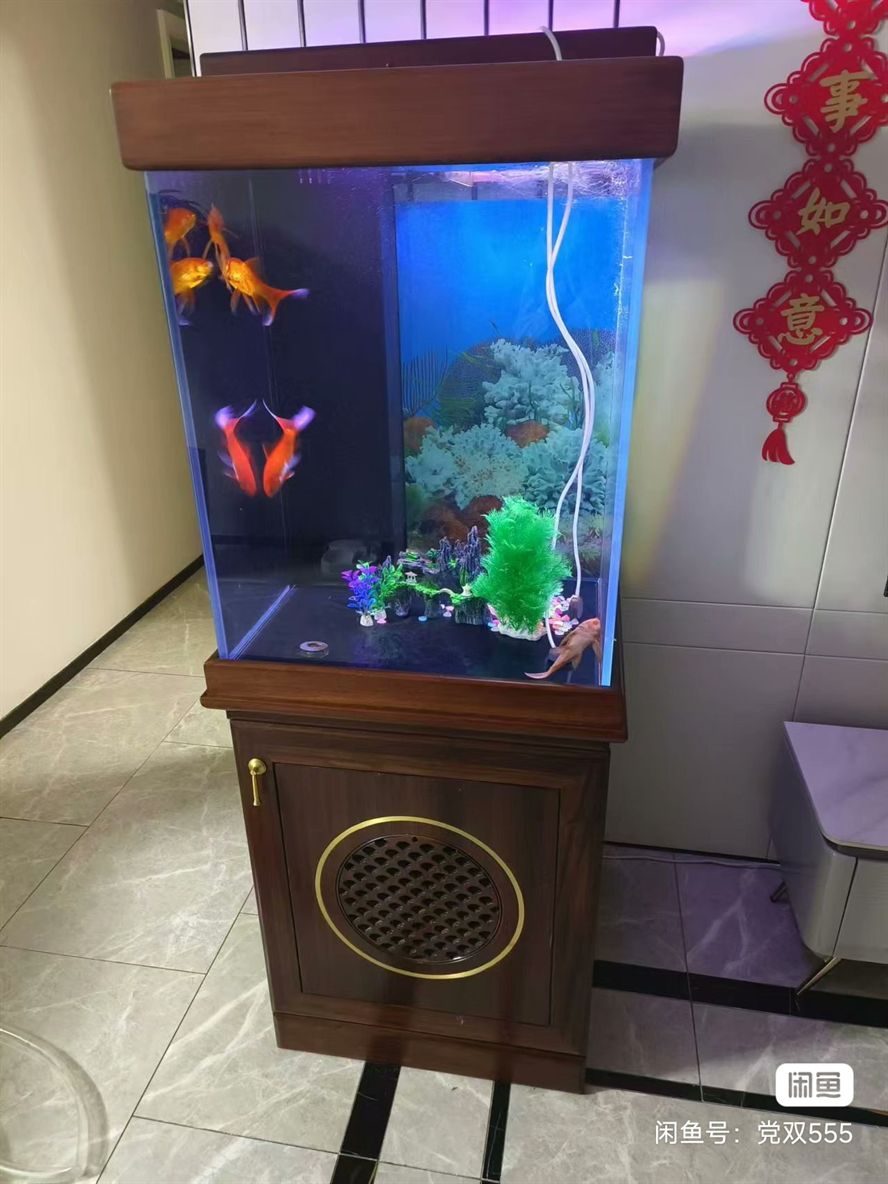 魚缸實(shí)木柜子好不好? 龍魚論壇 第5張 魚缸實(shí)木柜子好不好? 魚缸實(shí)木柜子好不好? 龍魚論壇 第5張