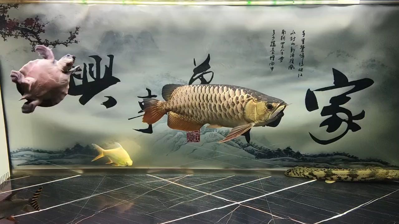還是不夠金，再過一年看看。不到2年