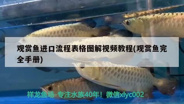 昆明市盤龍區馨悅水族店