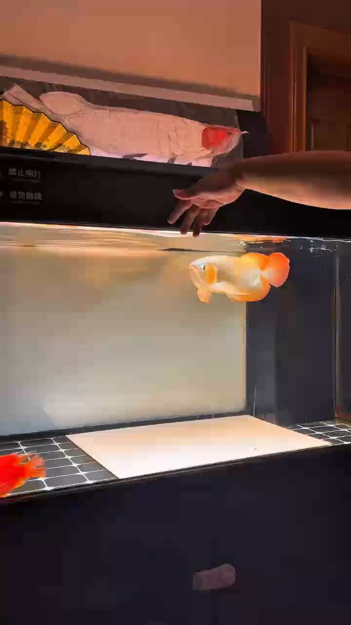 工作原因，上岸chuyu