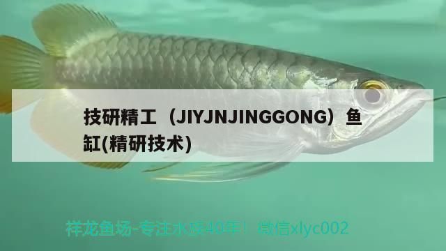 技研精工（JIYJNJINGGONG）魚(yú)缸，技研精工i魚(yú)v系列魚(yú)缸
